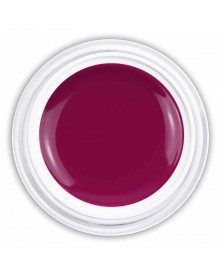 Farbgel Glossy Red Purple