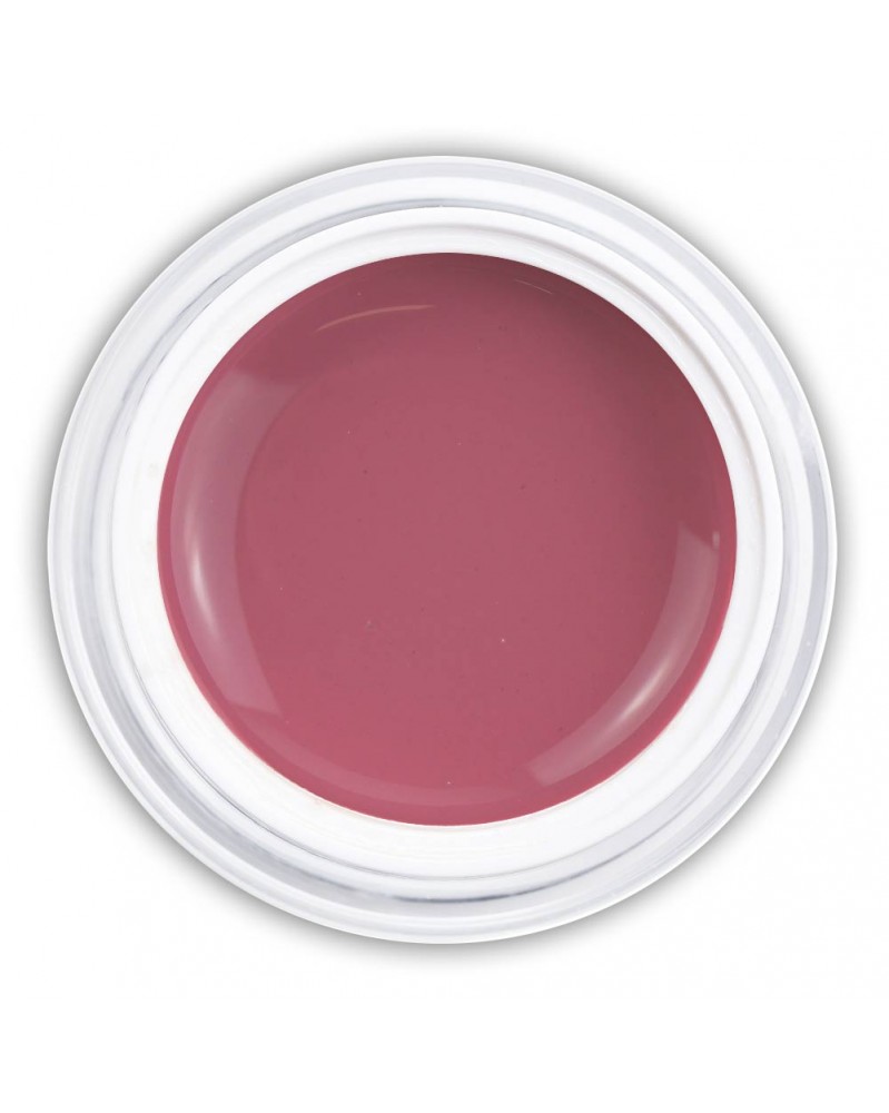 Farbgel Glossy Blush Rose Farbgel Glossy Blush Rose