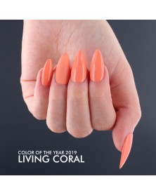 Gel Couleur Corail Vivant 3