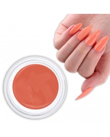 Gel Couleur Corail Vivant 2